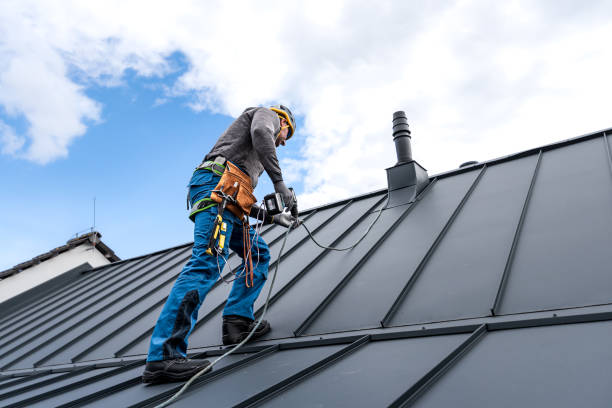 Professional Roofing Services in Tennille, GA